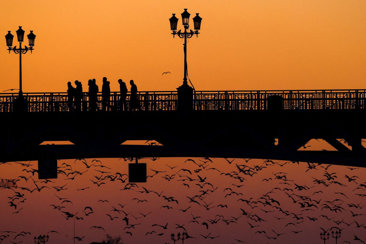 Starlings fly near the Saint-Pierre Bridge in Toulouse, France, at sunset on Saturday, February 11.