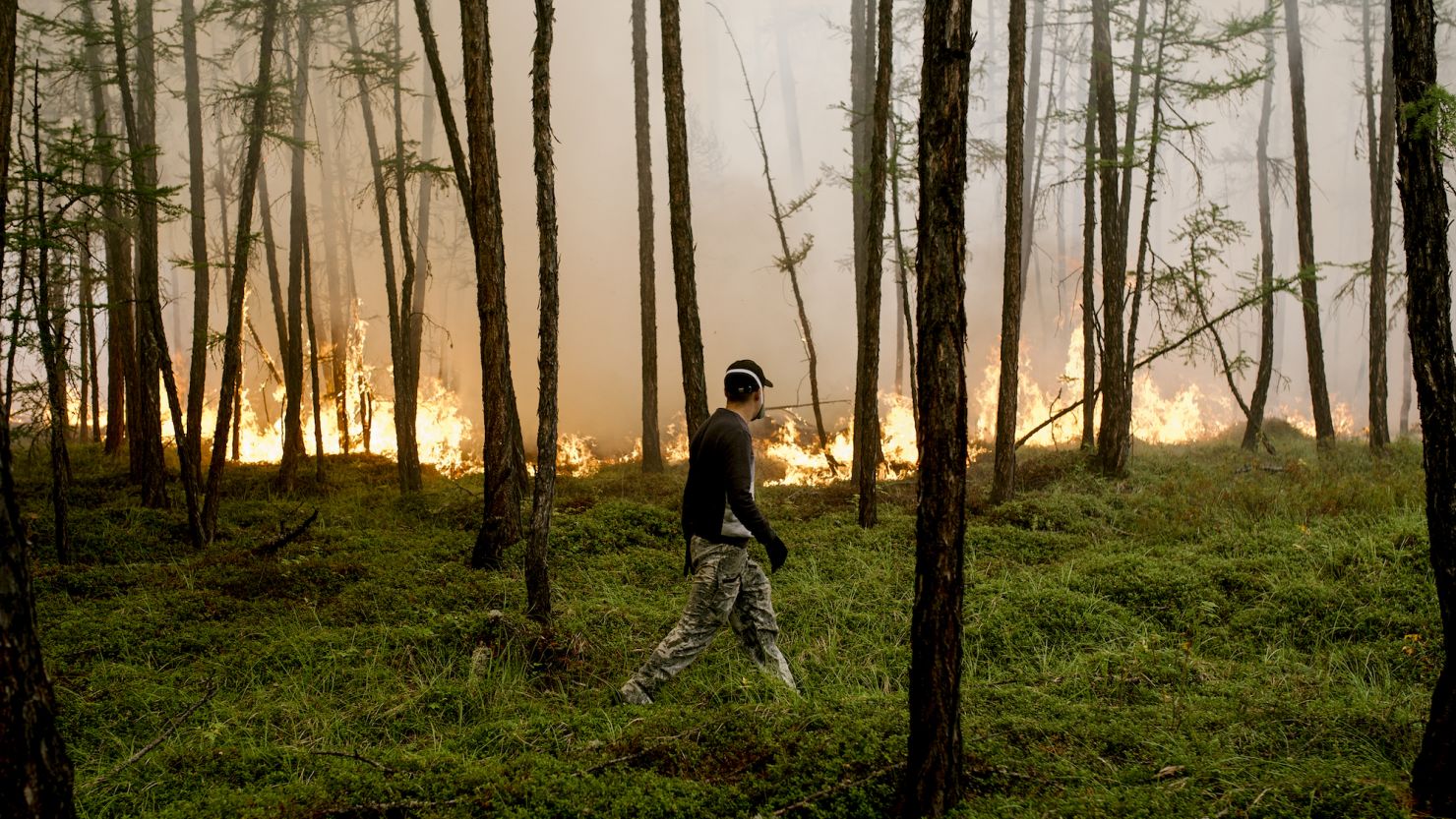 Wildfires in Sakha, Russia, in August 2021. Losing forests is one feedback loop in a complex web of changes that can accelerate the impacts of the climate crisis.