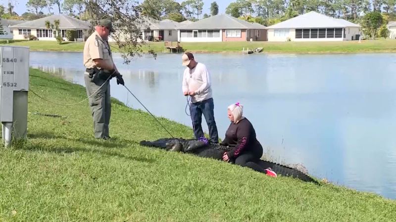 Elderly Florida Woman Dies After Encounter With Alligator | CNN