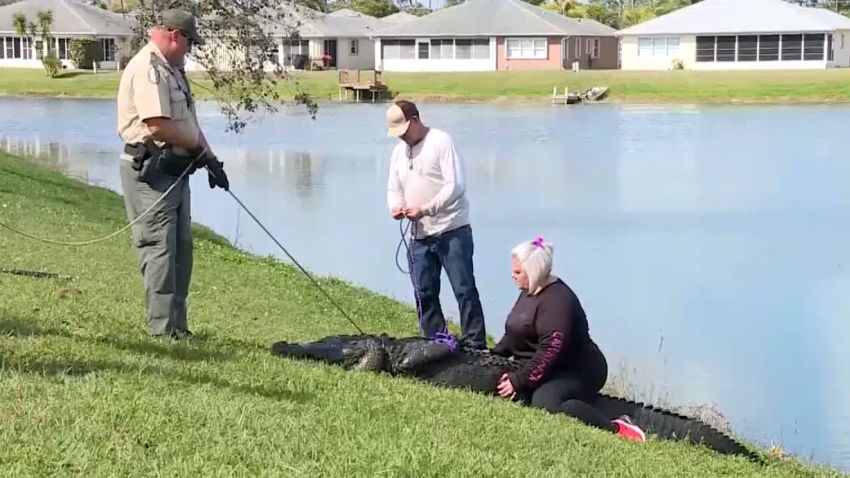Elderly Florida woman dies after encounter with alligator  CNN