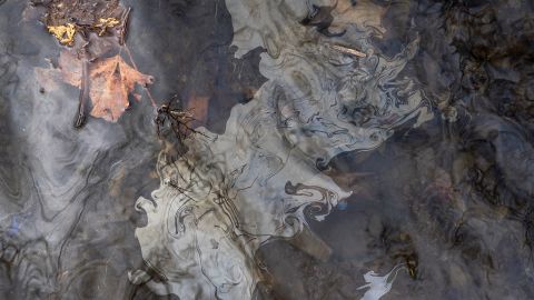 Petroleum based chemicals float on the top of the water in Leslie Run creek after being agitated from the sediment on Monday in East Palestine.