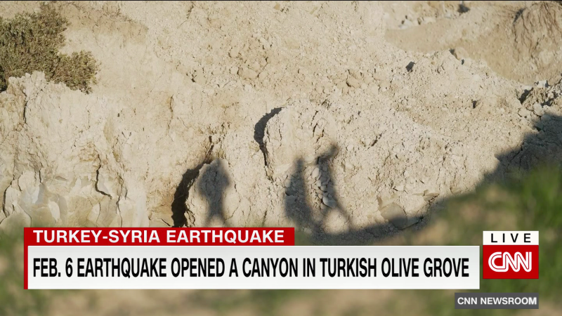 Earthquake opens a canyon in olive grove | CNN