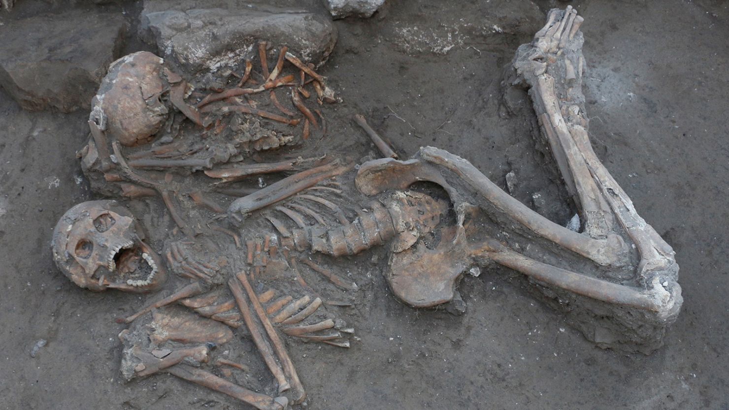 The remains of two elite brothers were found in a Bronze Age tomb in the ancient city of Tel Megiddo, Israel.