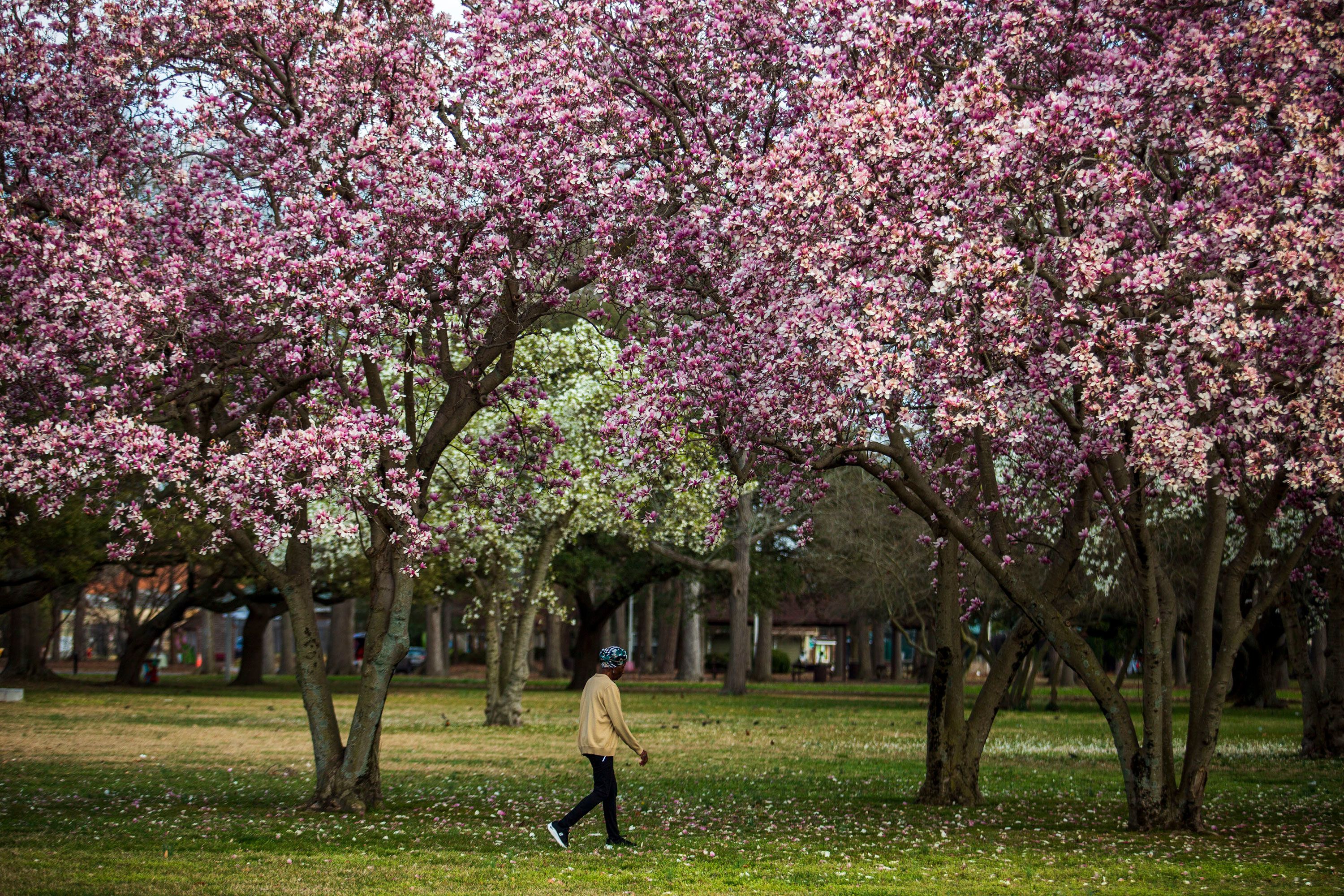 It's never been this warm in February. Here's why that's not a good thing