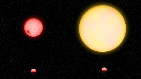 In termini di dimensioni relative, TOI-5205b (in basso a sinistra) in orbita attorno alla stella nana rossa (in alto a sinistra) assomiglia a un pisello che ruota attorno a un limone, e un pianeta come Giove (in basso a destra) in orbita attorno a una stella simile al sole (in alto a destra) è paragonabile a un pisello che orbita intorno a un pompelmo.