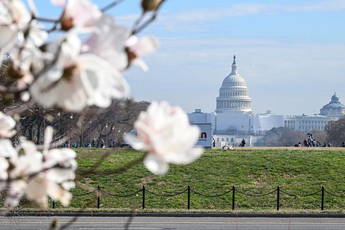 In some warmer parts of DC, the cherry trees are already blossoming. Temperatures around the Tidal Basin are usually a bit colder than the rest of the capital.