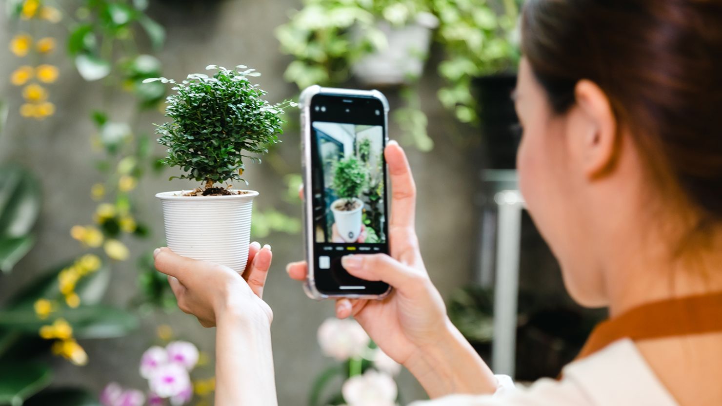 Best Plant Identification Apps For