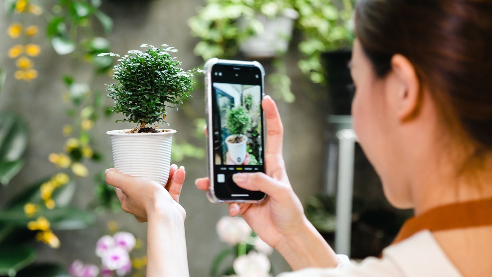 Vergelijkbaar Niet genoeg Normalisatie Best plant identification apps for mobile in 2023, tested by our editors |  CNN Underscored