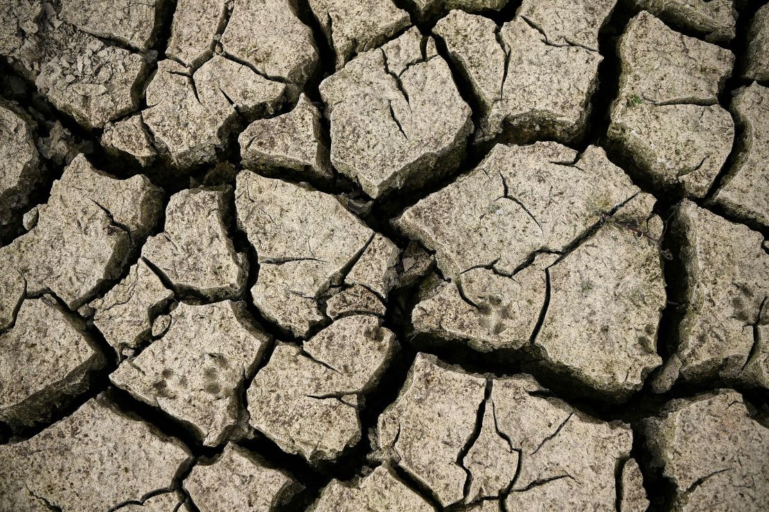 The dried and cracked bed of Lac de Montbel in southwestern France on February 21.