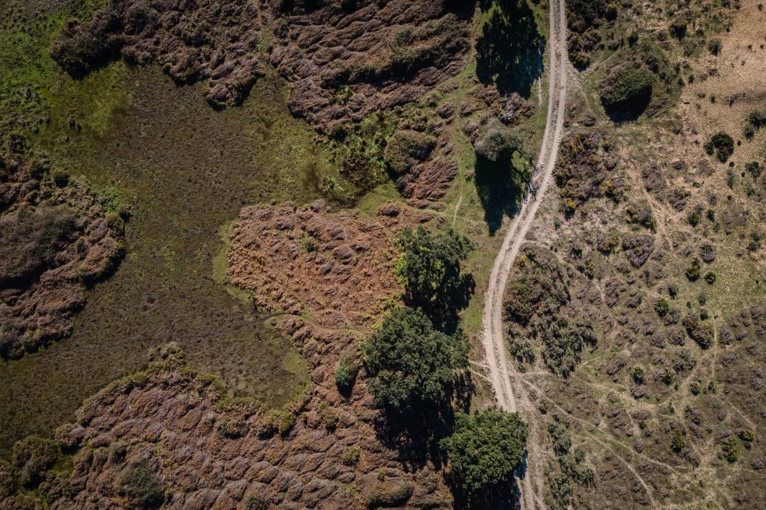 An aerial view of the dry marshes at the Doñana National Park in Huelva, Spain on January 25.