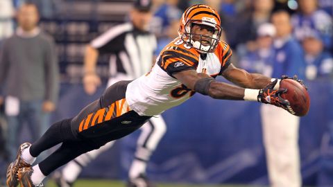 Johnson of the Cincinnati Bengals reaches for a pass on November 14, 2010.