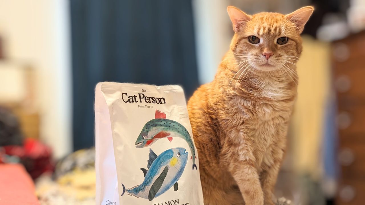 underscored Cat Person Dry Food