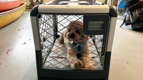 underscored Diggs Revol Dog Crate