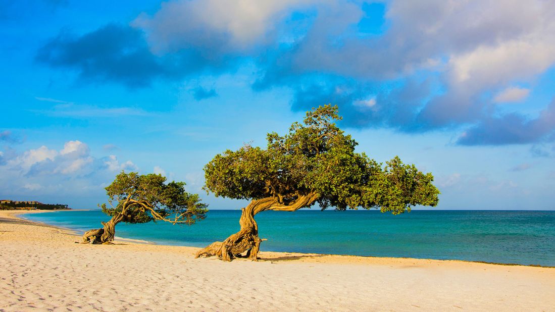 <strong>2. Eagle Beach,</strong><strong> Aruba:</strong> Fofoti trees grow on the golden sand in Aruba. Eagle Beach is ranked No. 2 among the world's best beaches for 2023.