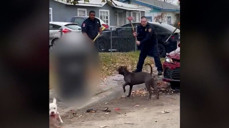 Video shows first responders confronting dogs after attack | CNN