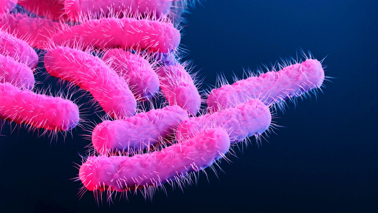 Exposure to the Shigella bacteria is commonly through contaminated food, water or hands.