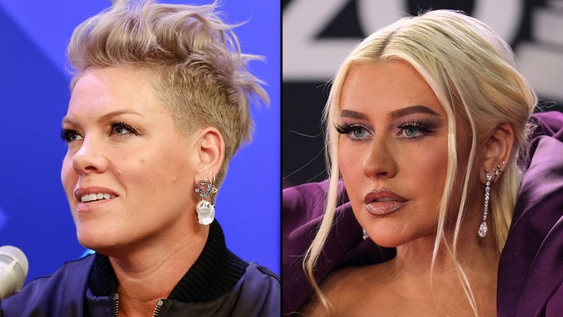 Pink disappointed her comments about an old argument with