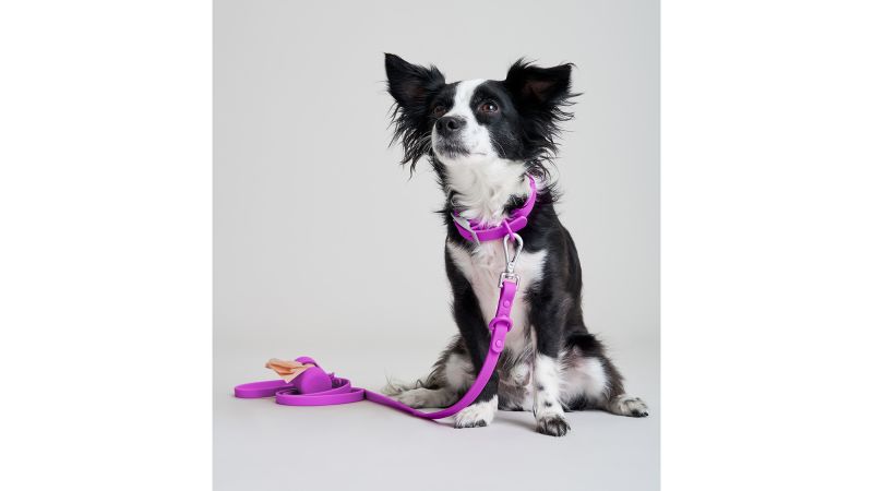 Wild one harness sales sale