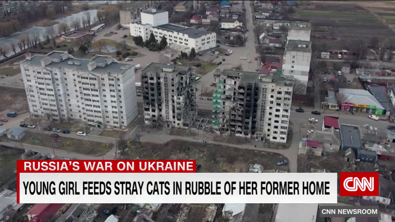 Ukrainian Girl Feeds Feral Cats | CNN
