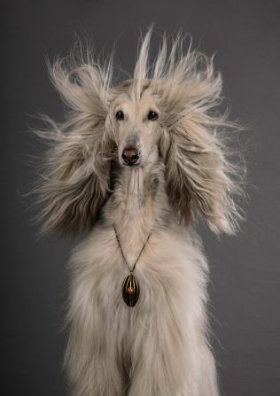 German photographer Julia Christe was shortlisted in the wildlife and nature category for her animal portraits.