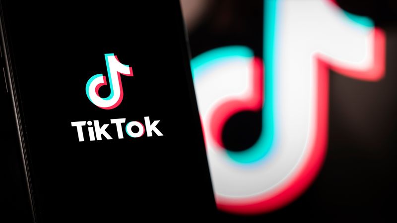 EU bans TikTok from official devices across all three institutions