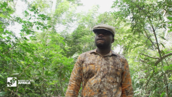 MPA Ivory Coast chocolate spc_00023404.png