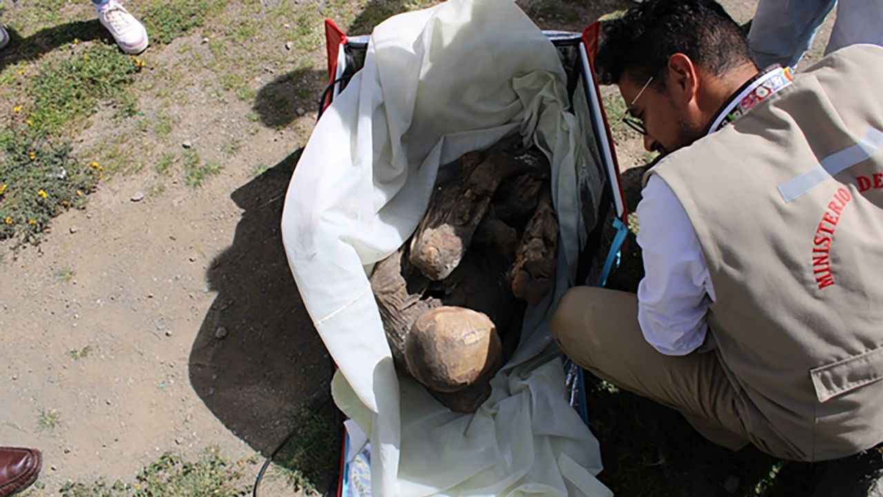 Images of the discovery showed the mummy in a fetal position inside the red delivery bag. 