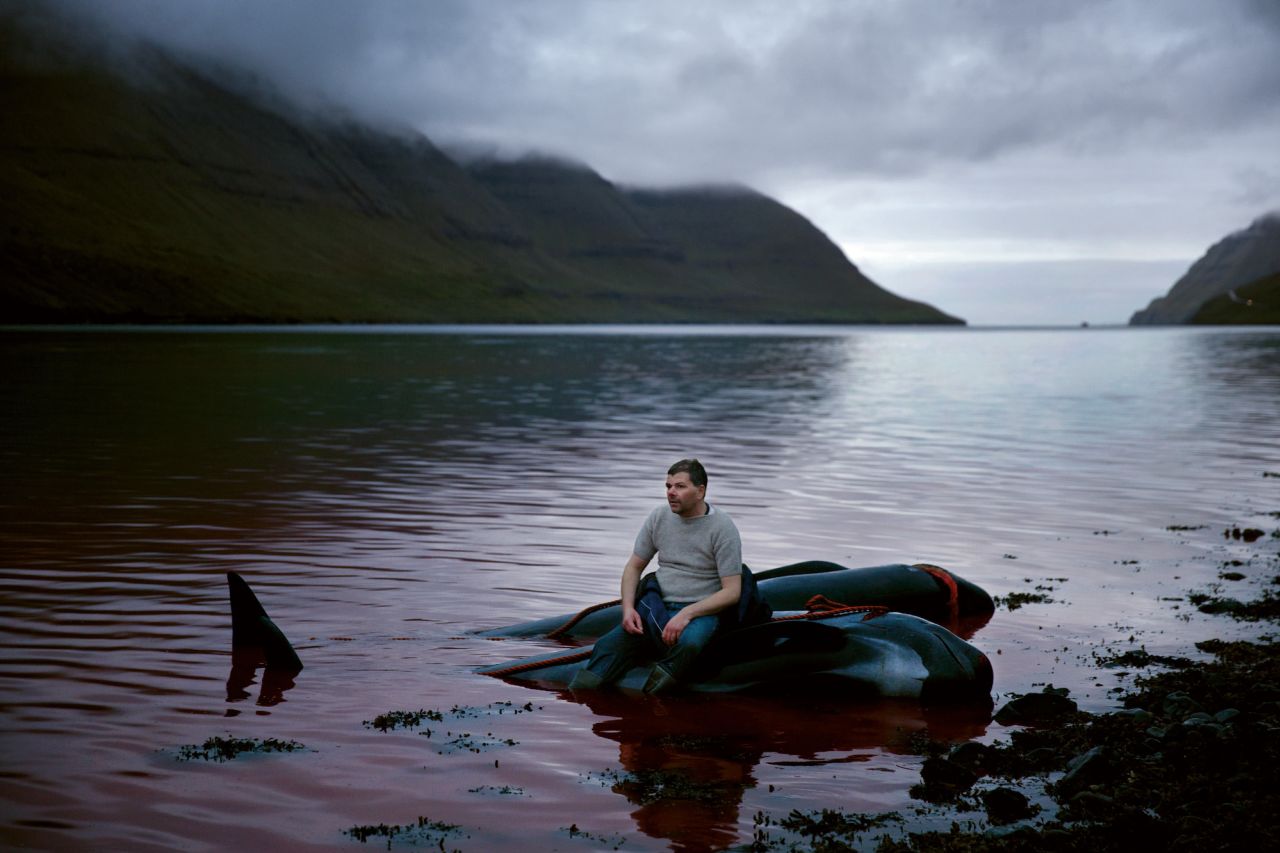 Faroe Islander Fróði rests on the carcass of a pilot whale after a "grindadráp," or whale hunt, a controversial tradition that often sparks global outrage.