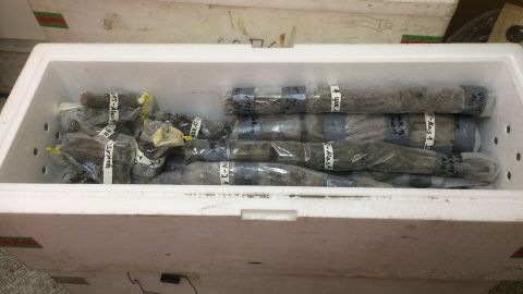 Cores of permafrost samples are pictured in a container. 