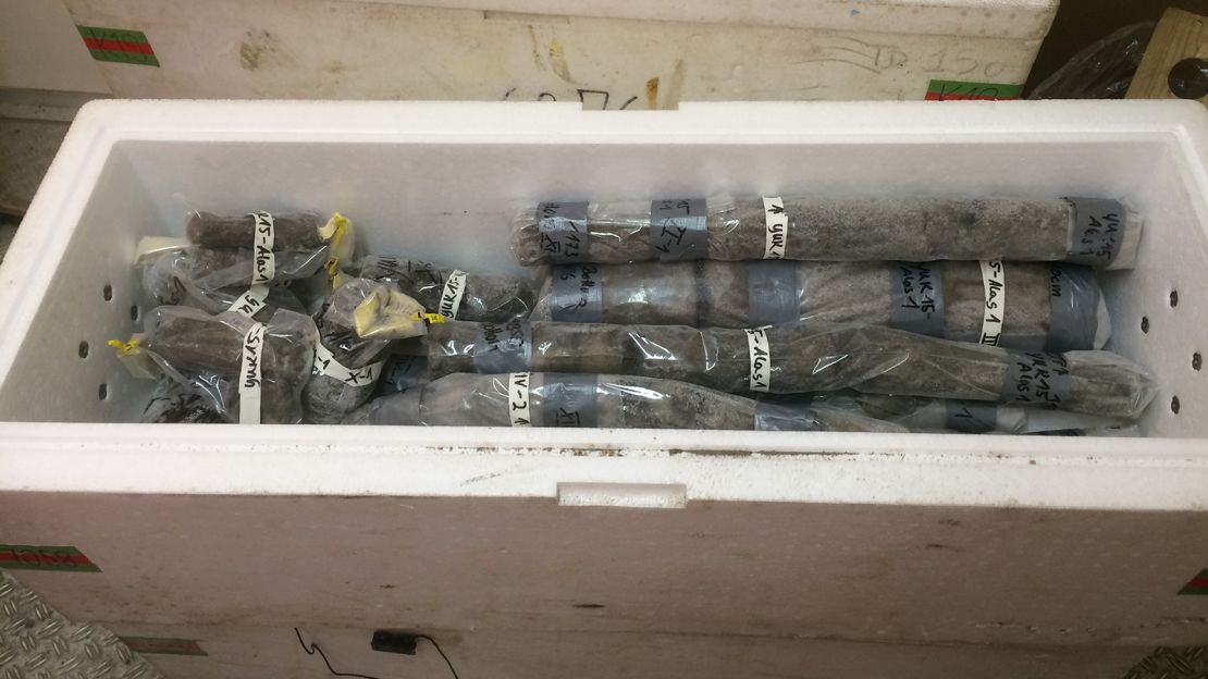 Cores of permafrost samples are pictured in a container. 