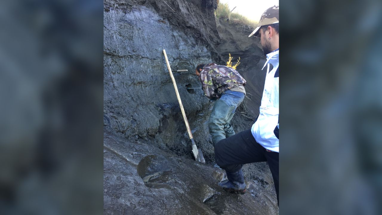 Cores of earth drilled from Siberian permafrost  have been analyzed to detect frozen viruses. 