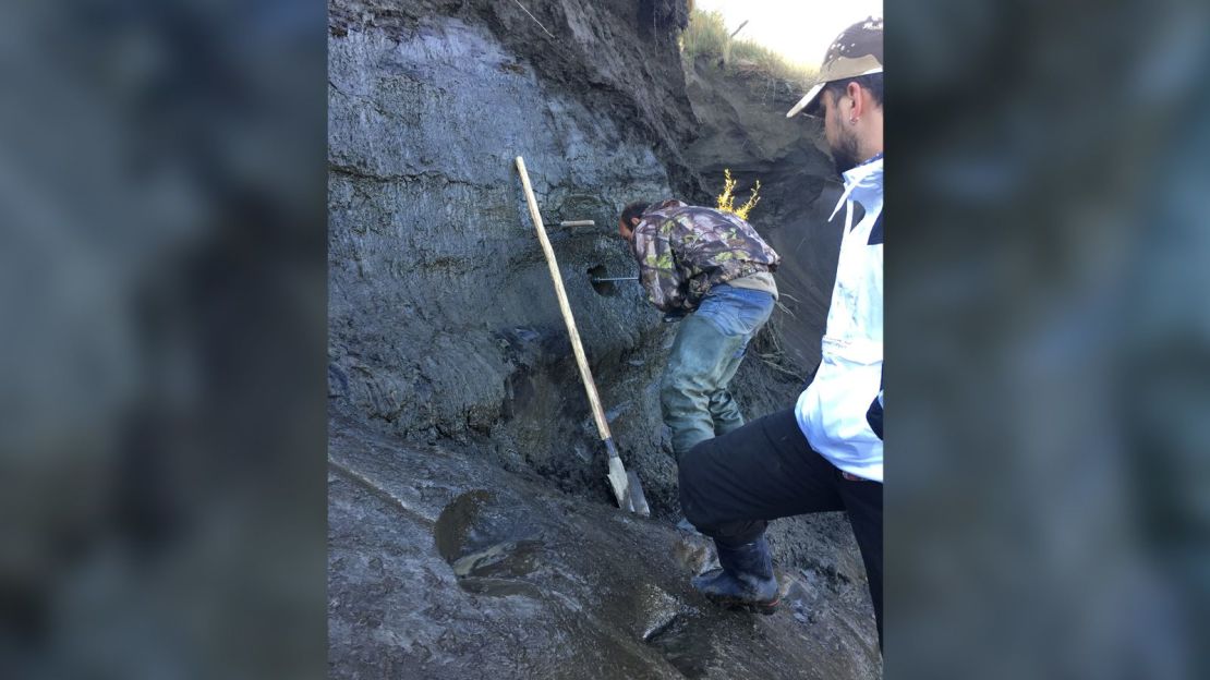 Cores of earth drilled from Siberian permafrost have been analyzed to detect frozen viruses.