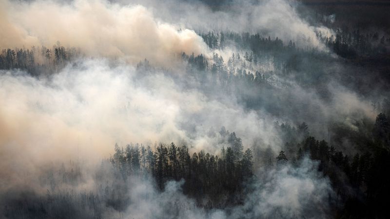 Boreal forests could be a planet-warming ‘time bomb’ as wildfires expand, says new study | CNN