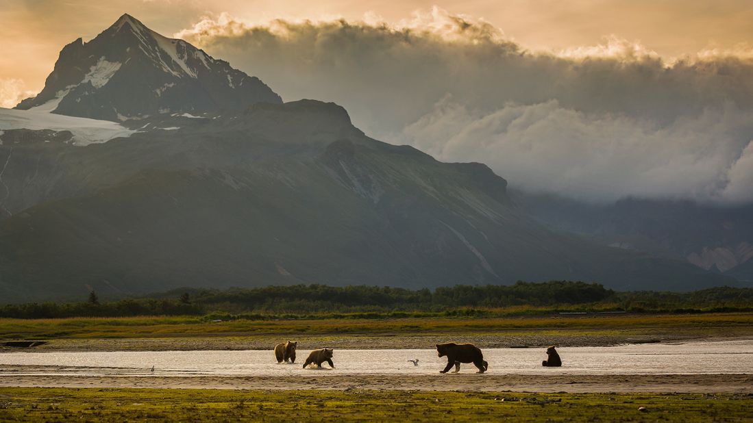 <strong>7. Katmai National Park & Preserve, Alaska: </strong>One of the world's premier bear-viewing spots, according to the Park Service, Katmai is home to an estimated 2,200 brown bears. 