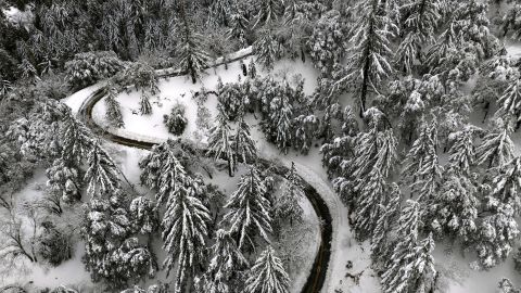 طريق الولاية 138 يمر عبر الأشجار المغطاة بالثلوج بالقرب من هيسبيريا ، كاليفورنيا في 1 مارس 2023.
