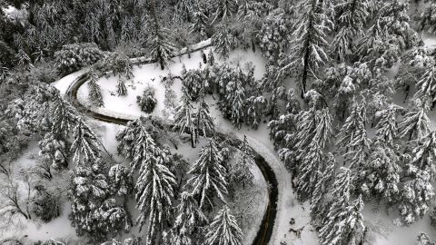 State Route 138 winds through snow-covered trees near Hesperia, California on March 1, 2023.