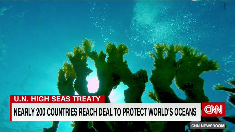 Countries reach historic agreement to protest the high seas | CNN