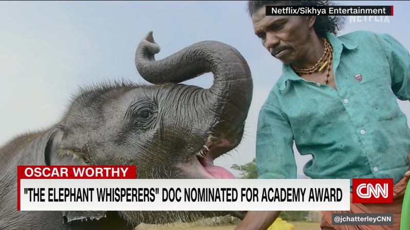 Makers of “The Elephant Whisperers” speak to CNN | CNN