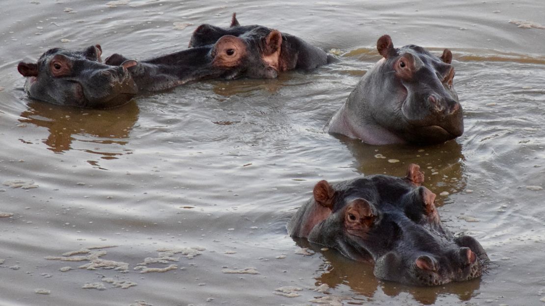 The Babanango Game Reserve is a wildlife wonderland.