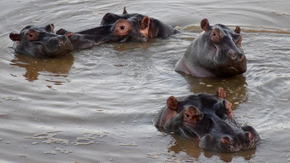 The Babanango Game Reserve is a wildlife wonderland. 