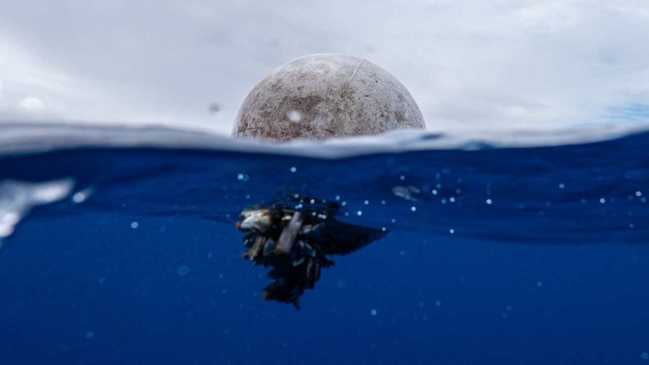 Plastic floats in the Great Pacific Garbage Patch.
