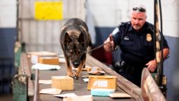 An officer from the Customs and Border Protection, Trade and Cargo Division works with a dog to check parcels at John F. Kennedy Airport's US Postal Service facility on June 24, 2019 in New York.