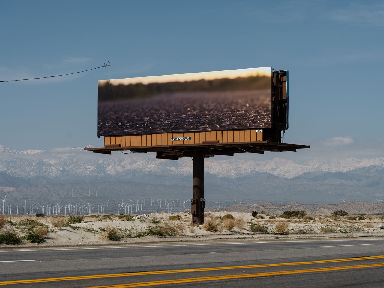 Desert X: Monumental new artworks rise in Coachella Valley | CNN