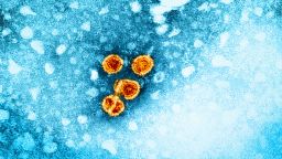 A new recommendation from the US Centers for Disease Control and Prevention says all adults should be screened at least once in their lifetime for hepatitis B, an illness that's linked to liver disease and cancer.