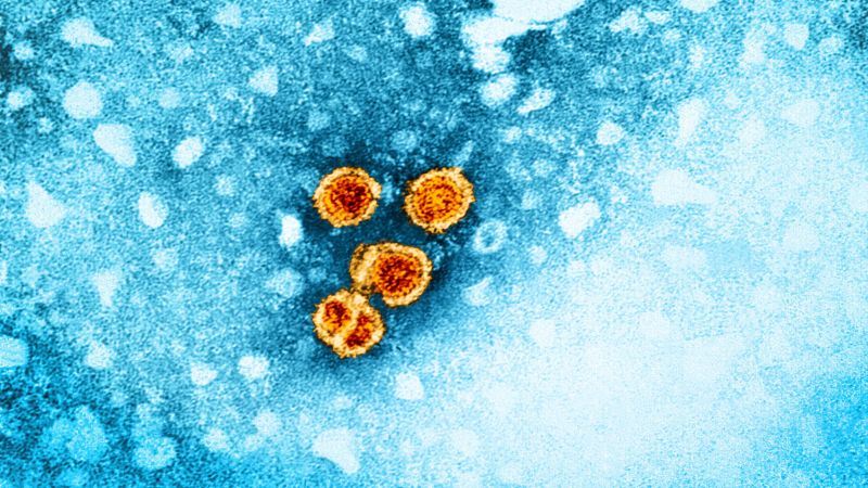 All adults should be screened for hepatitis B at least once, according to the CDC