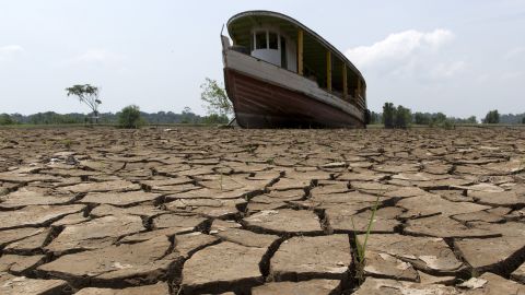The worst drought ever to hit Brazil's Amazon region sent river levels to an all-time low in 2015.