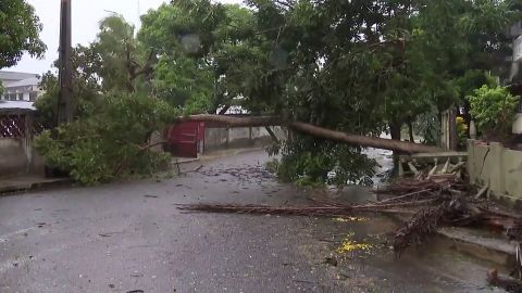 A tree lies across a street in Quelimane on Sunday after Freddy made landfall in Mozambique for the second time.