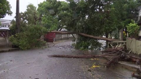 A tree lays across a street in Quelimane on Sunday after Freddy made its second landfall in Mozambique.