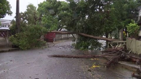 A tree lies across a street in Quelimane, Mozambique Sunday, March 12, 2023.