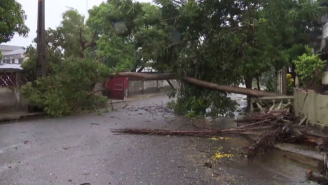 A tree lays across a street in Quelimane on Sunday after  Freddy made its second landfall in Mozambique.